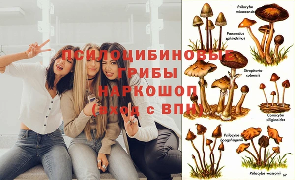 мескалин Покровск