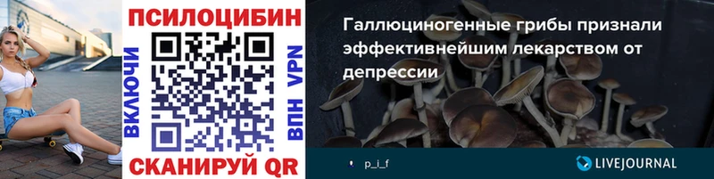 Псилоцибиновые грибы прущие грибы Азов